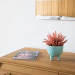 Caragol Point Boutique Homes Villa